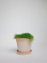 products/SotoProductShootLowQ-1998_888548c6-1221-42f4-919d-e7b3b7042759.jpg